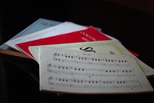 米兰体育-中小学体育课程内容优化实践，中小学体育课程一体化研究