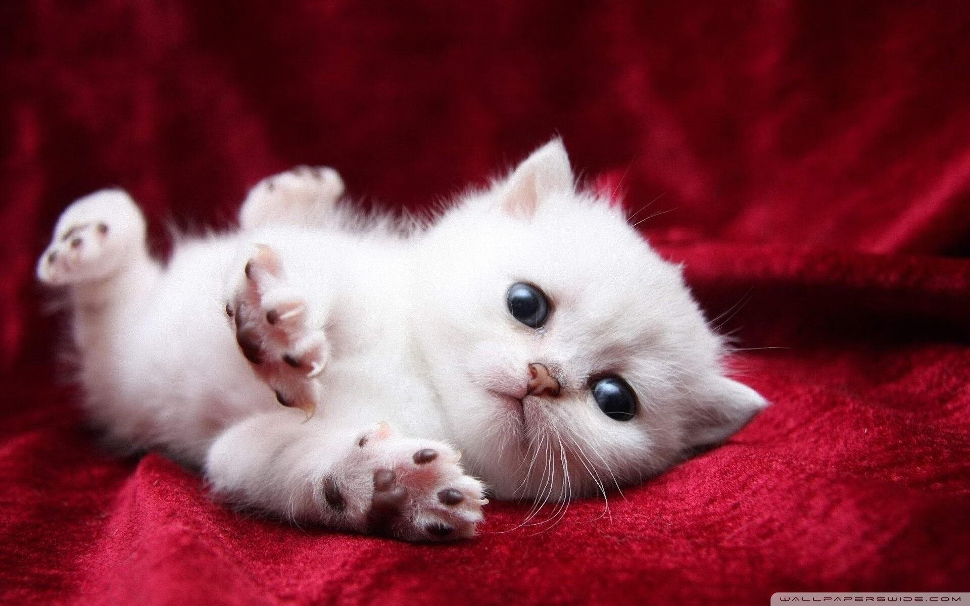 米兰体育官网-运动员训练数据分析系统，运动员数据分析软件