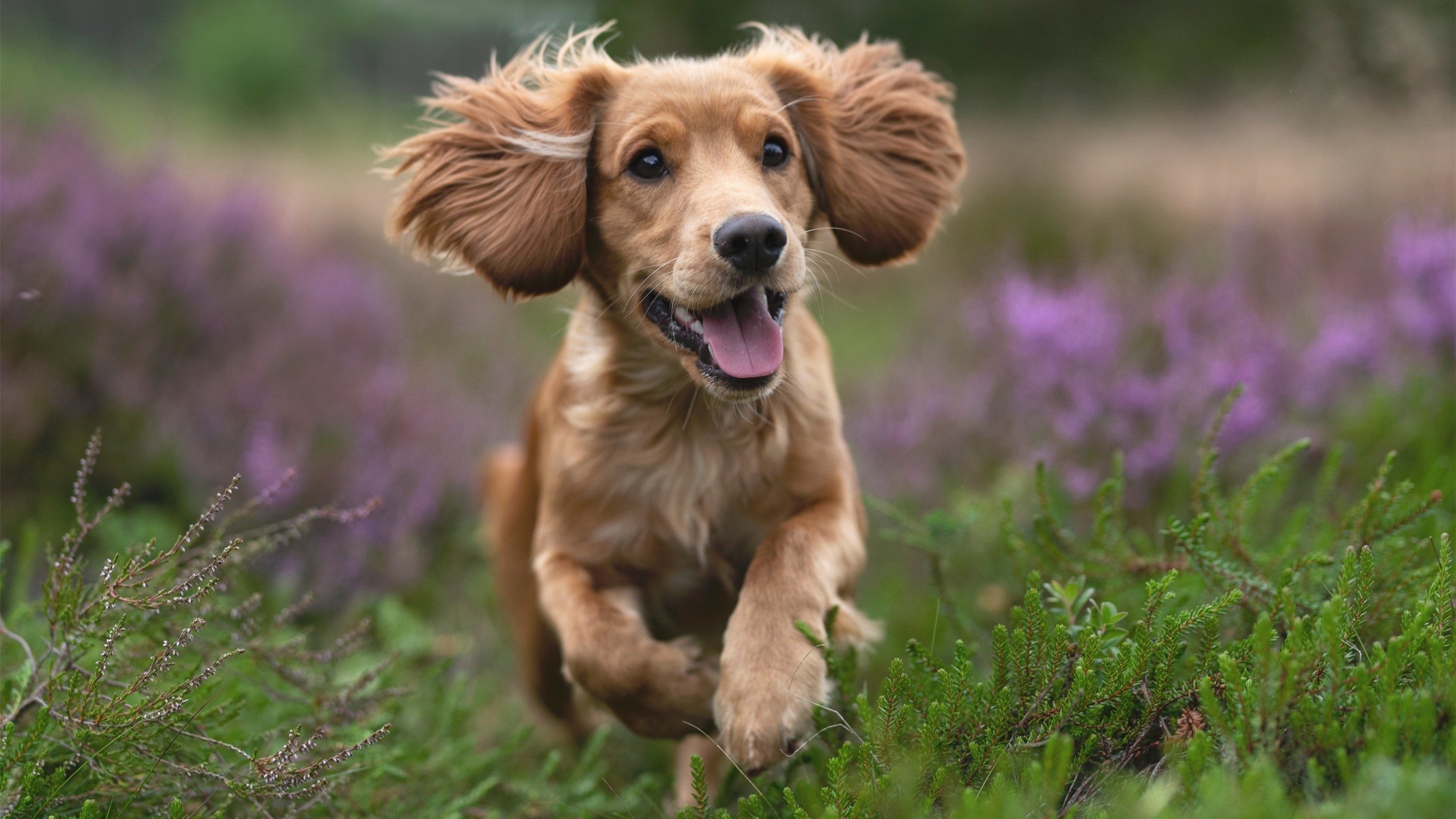 米兰体育官网-运动员训练数据分析系统，运动员数据分析软件