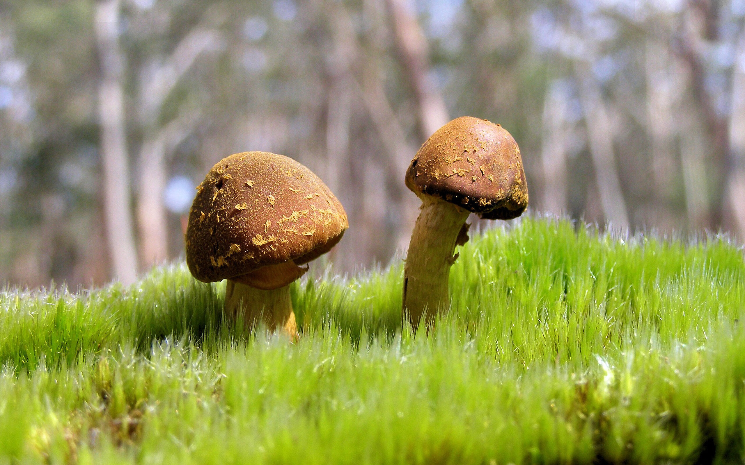 MILANSPORT入口-CBA赛季精彩纷呈 球迷热情高涨，cba球队赛季