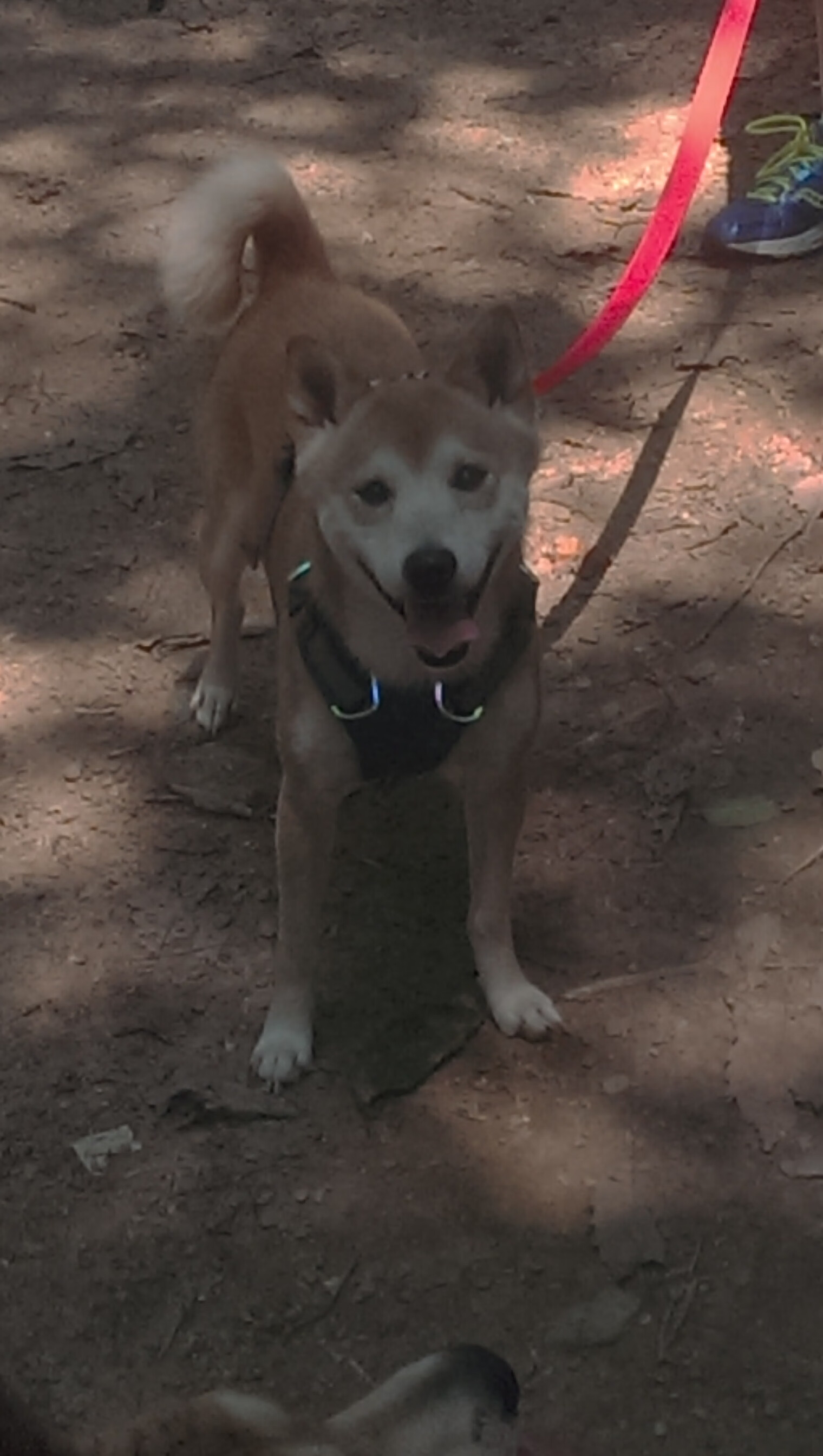 米兰体育APP-俱乐部管理层更替频繁引发不稳定，俱乐部管理模式