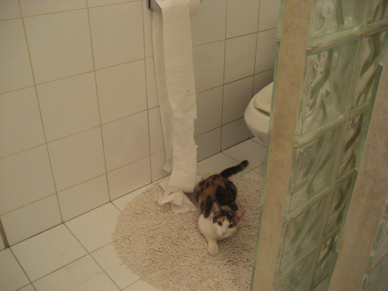 米兰体育APP-俱乐部管理层更替频繁引发不稳定，俱乐部管理模式