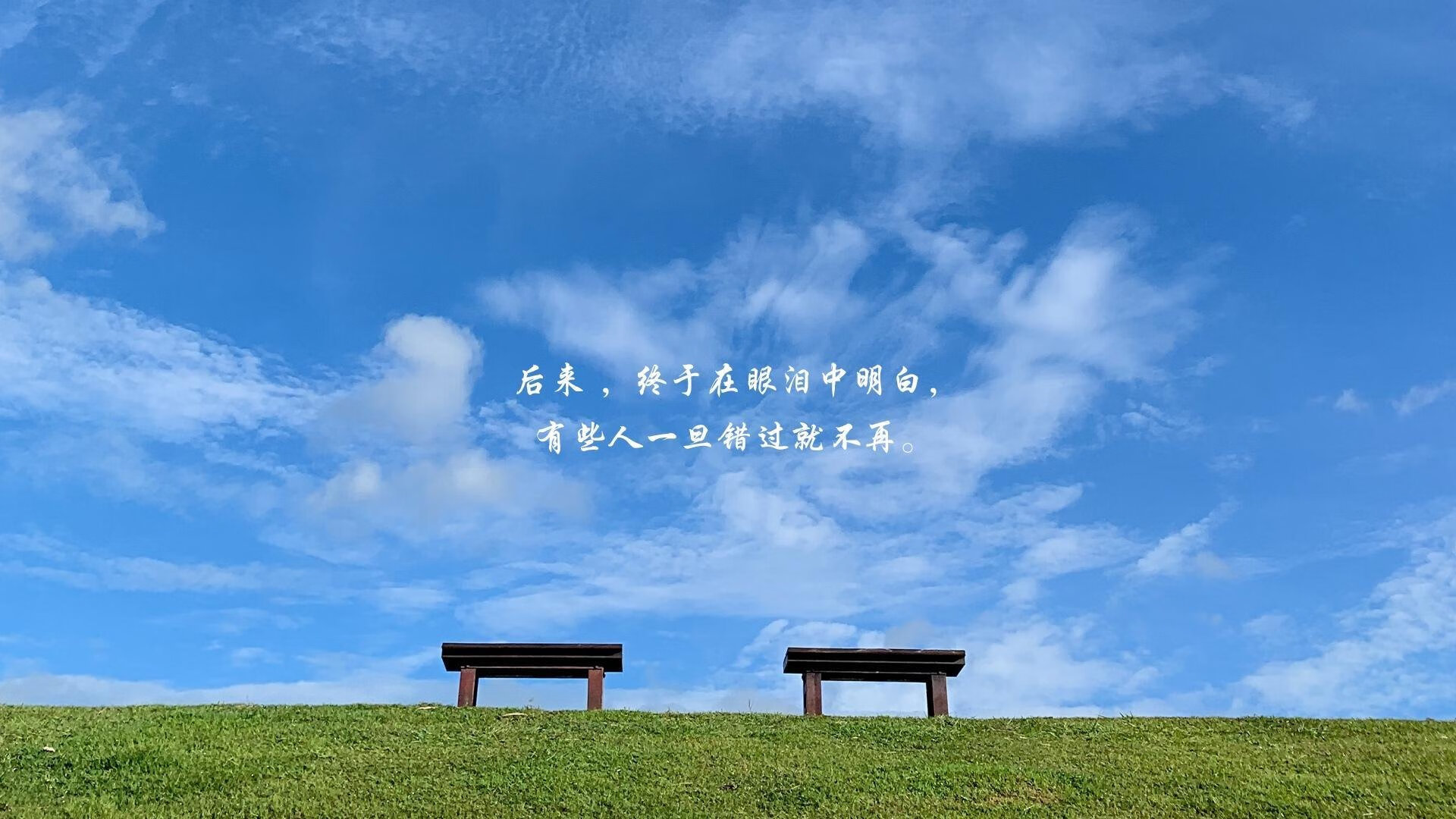 -男子100蝶美队双保险锁定金牌