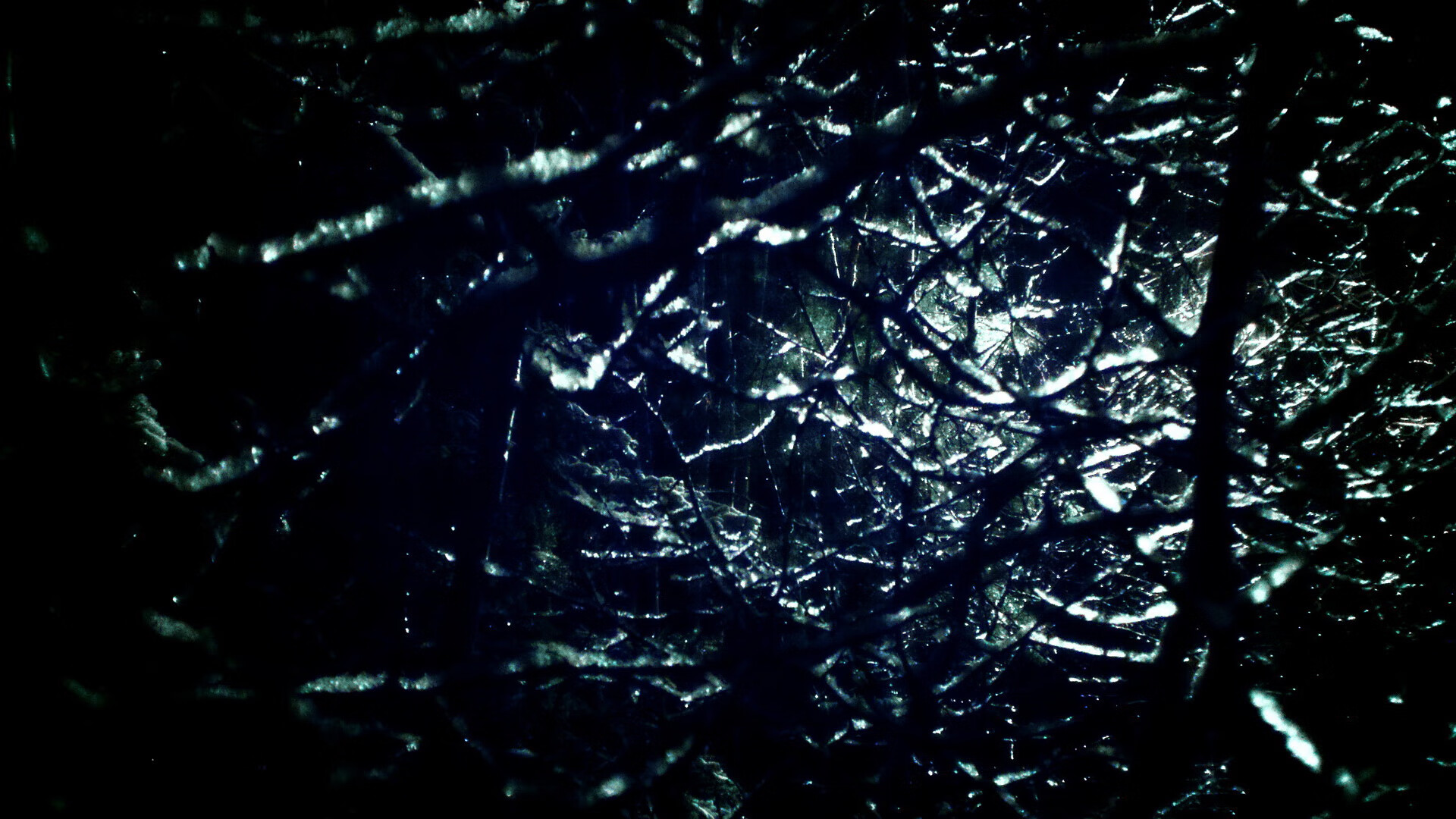 米兰体育APP-美国队在国际乒联混合团体世界杯中的表现与团队精神，美国乒乓球男队