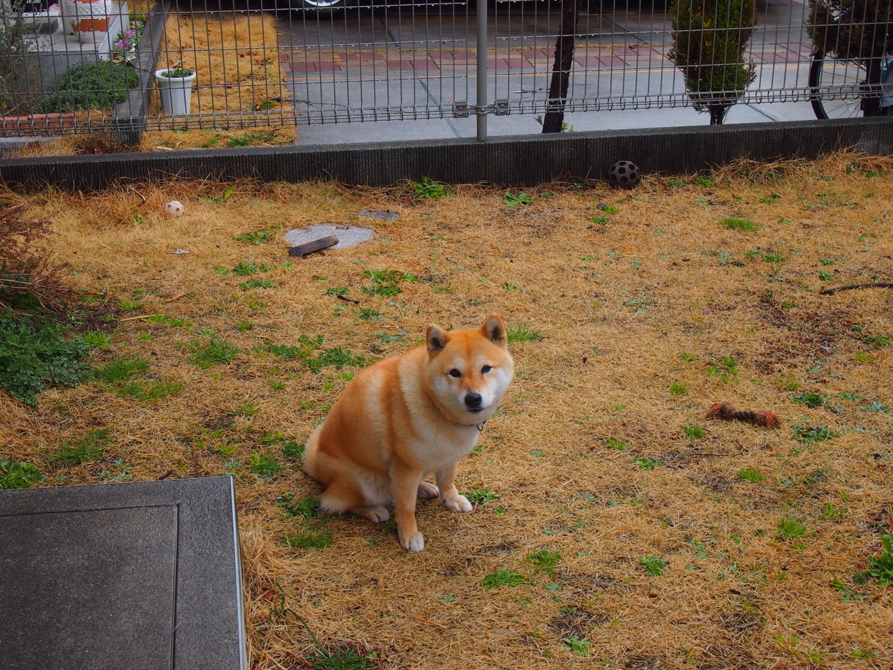 AC米兰-世界杯惊天逆转：坚持到底，梦想成真，世界杯瞬间