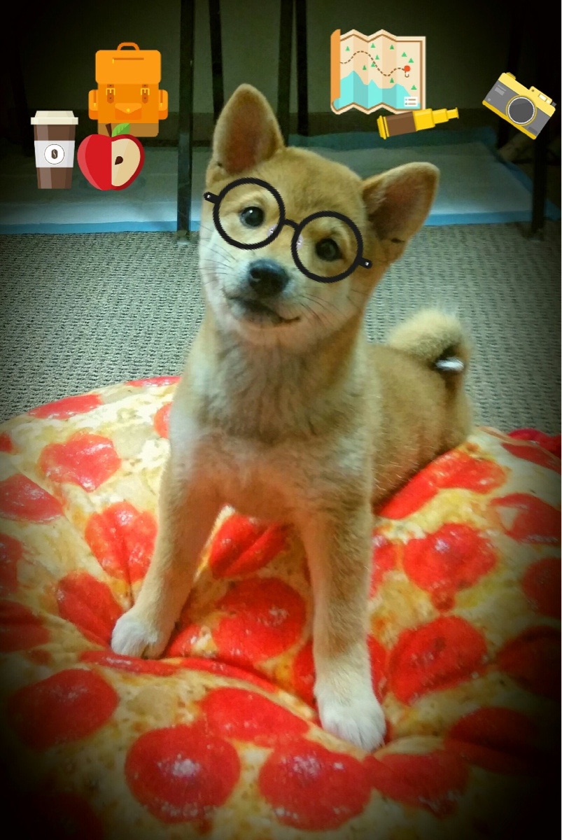 米兰体育-世界杯的重要战术分析与解析，说一说世界杯