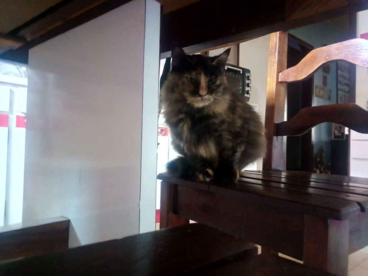 -中国足球青少年足球文化推广力度加大，中国青少年足球发展计划