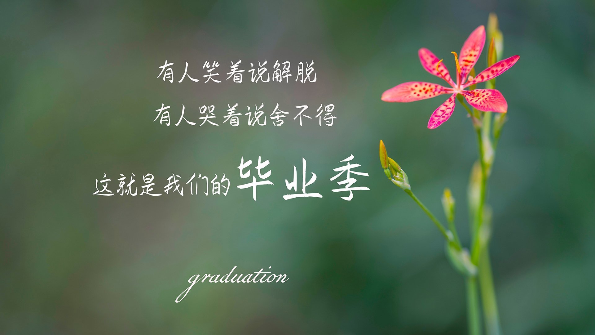 米兰体育APP-仰泳项目朝鲜选手节奏稳定，仰泳视频教练讲解