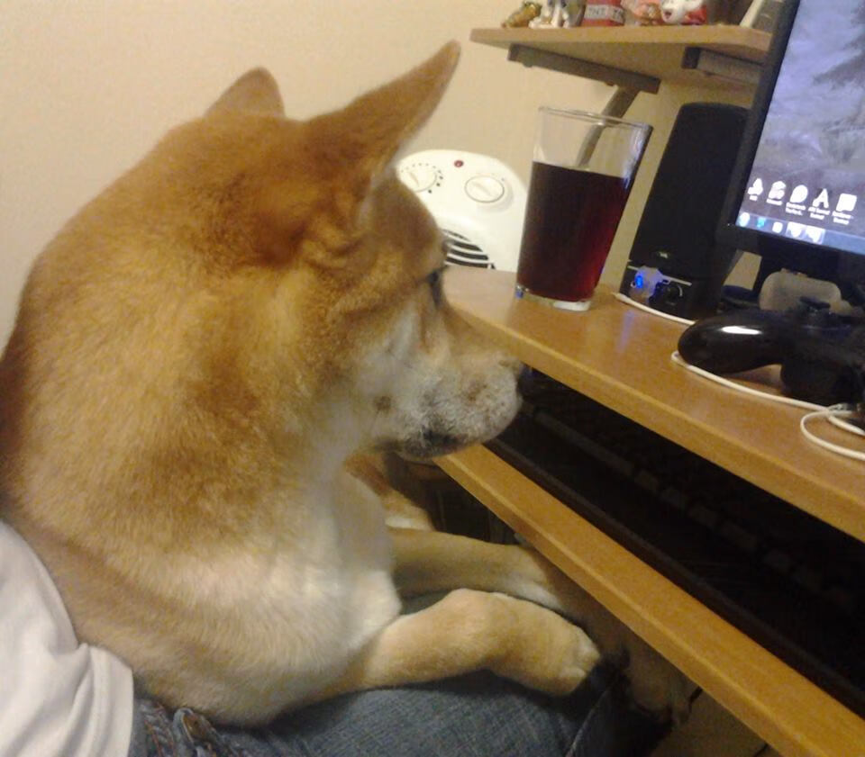 米兰登录入口-各地中小学加快建设标准篮球场地，小学篮球场地标准尺寸面积