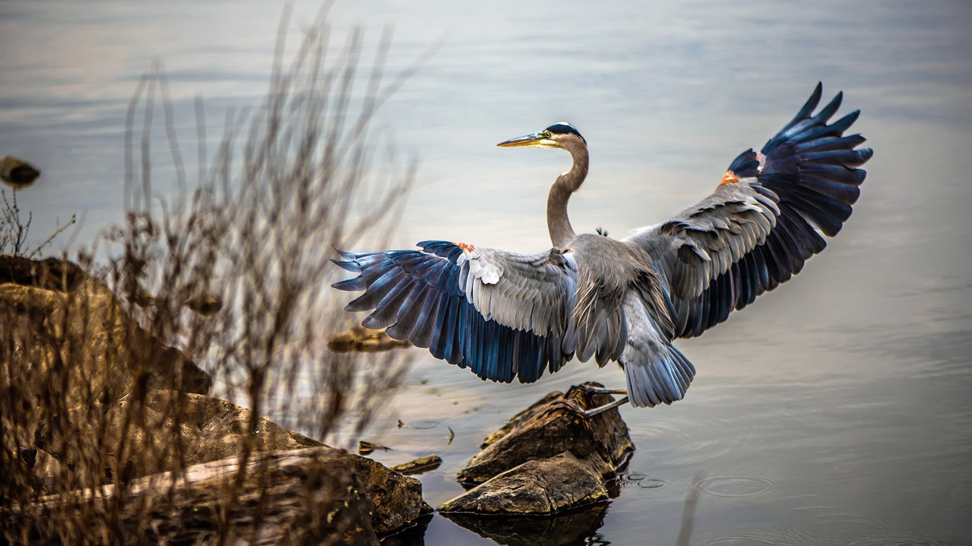 米兰体育APP-意大利混合3米双人跳板决赛成绩备受关注，双人3米跳板打分规则