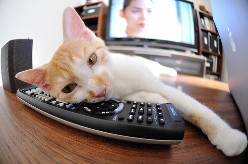 MILANSPORT下载-意甲长传撕裂：瞬间突破带来得分机会，意甲传统强队