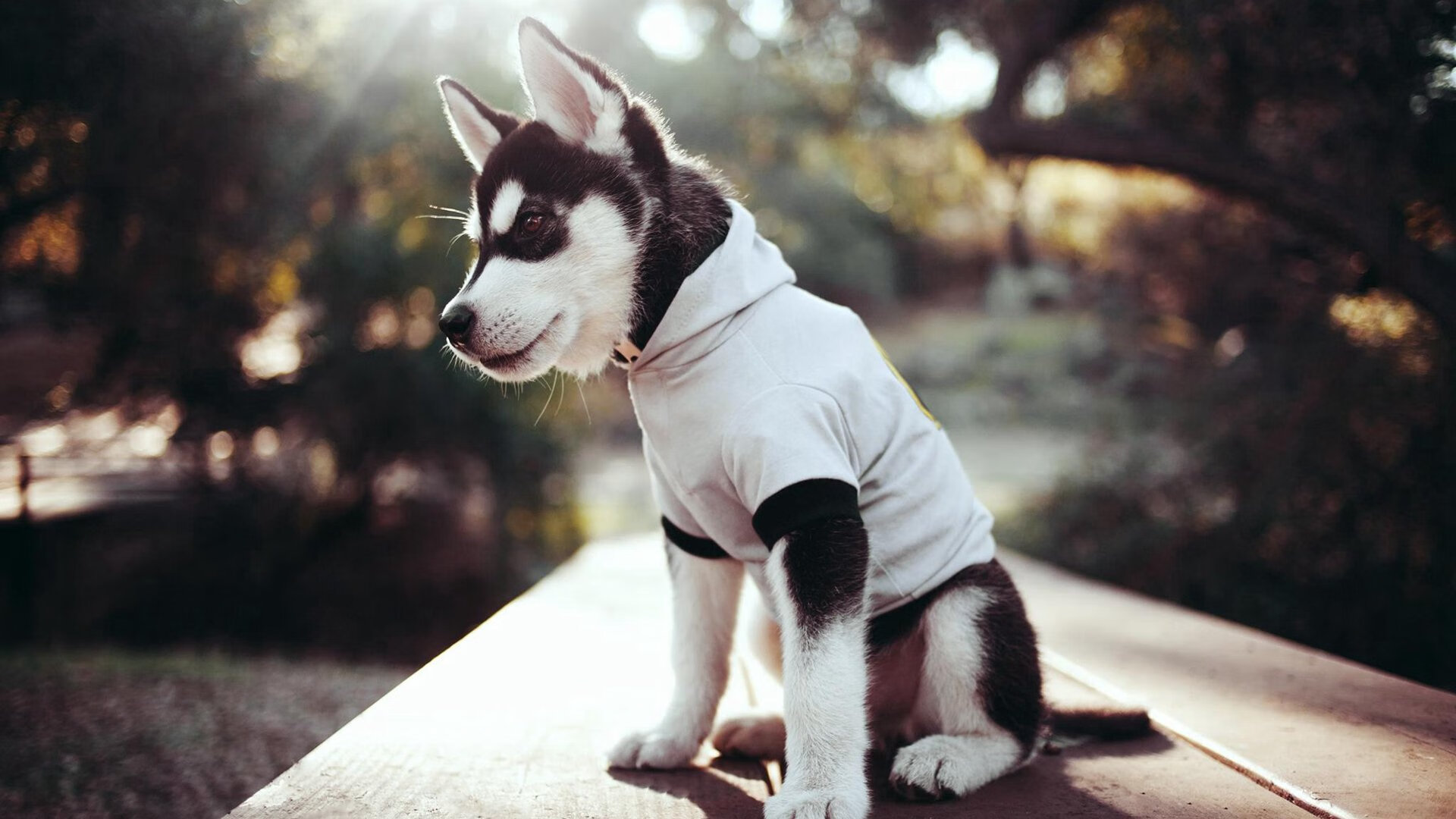 -篮球教学基地建立师资轮岗制度丰富教学风格，篮球教育培训