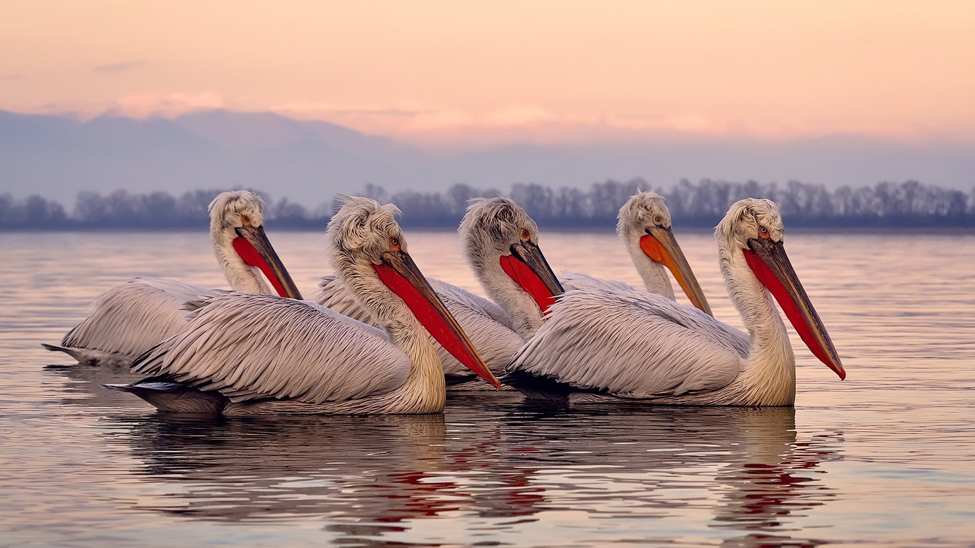 MILANSPORT下载-FIFA世界排名更新 国足仍居第94位，fifa世界排名总表