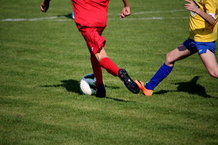 米兰体育官网-FIFA严打关联俱乐部，莱昂或失参赛资格